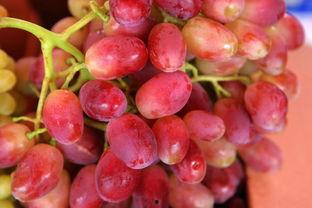 提子事件谁爆料的啊最新,揭秘爆料者身份与动机 第2张 提子事件谁爆料的啊最新,揭秘爆料者身份与动机 第2张